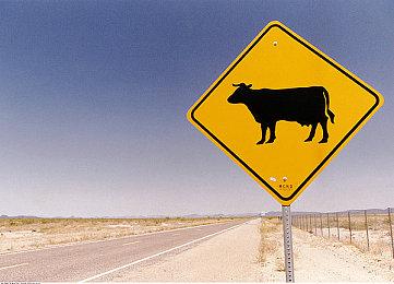 4X策略类游戏《战争与帝国》今日上线Steam 游戏支持中文